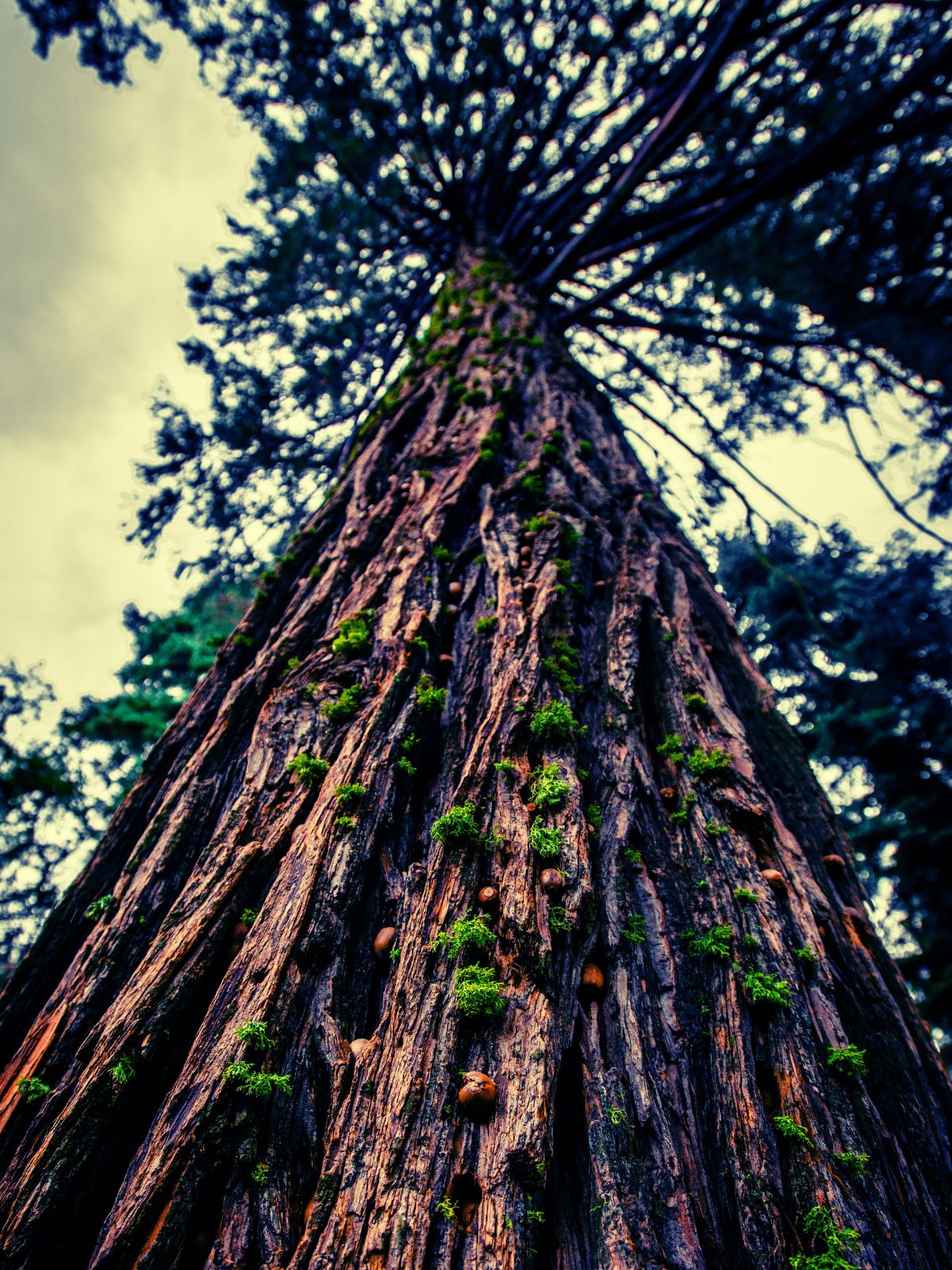 Sustainability Focus