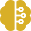 brain